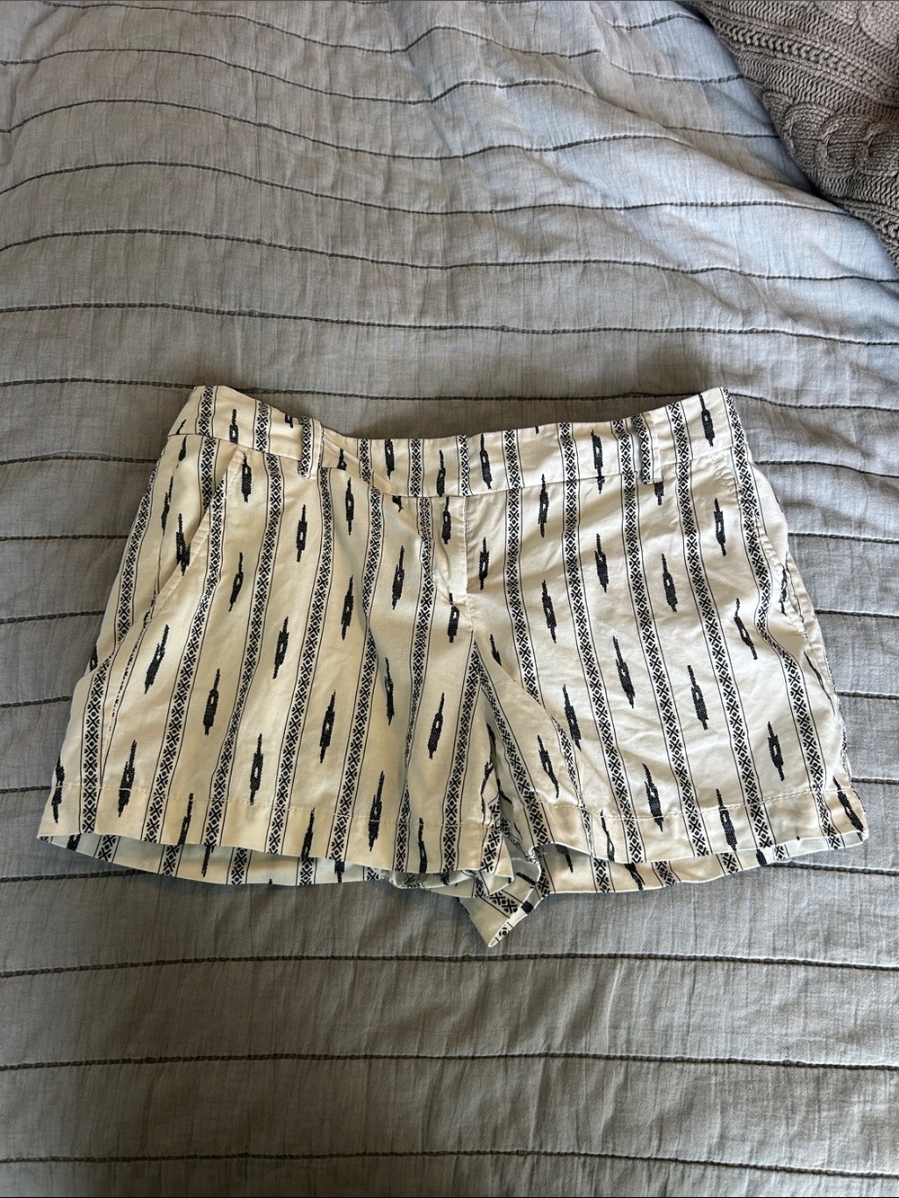 Aztec Print Loft Shorts